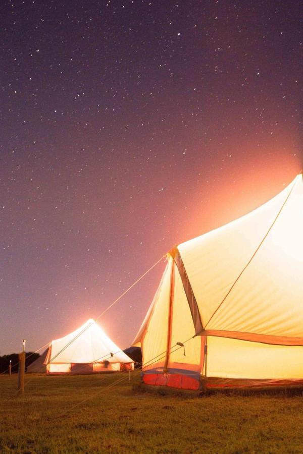 Coonawarra Bush Holiday Park Exterior foto